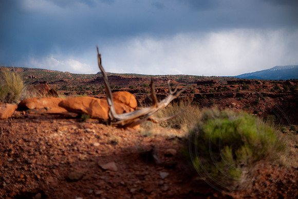 Utah Bike Ride 2014-34