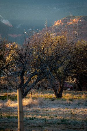 Utah Bike Ride 2014-39