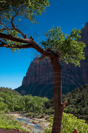 Utah Bike Ride 2014-113