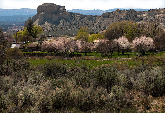 Utah Bike Ride 2014-58