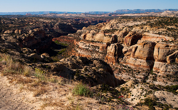 Utah Bike Ride 2014-48