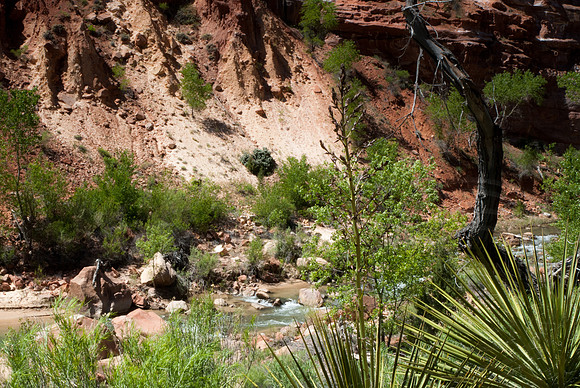 Utah Bike Ride 2014-110