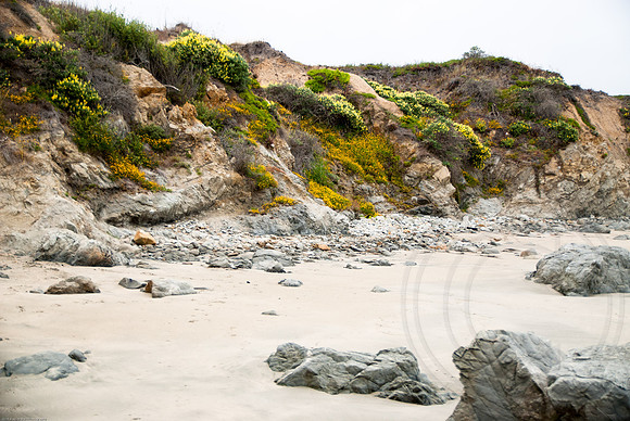 Just South of Half Moon Bay-4